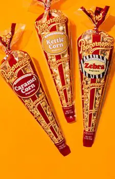 Picture of three gourmet mini cones flavored of Caramel Corn, Kettle Corn. and Zebra®. With orange background.